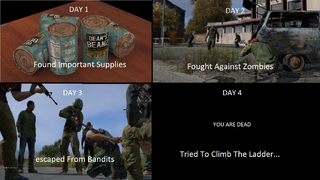 <em>DayZ</em> Summed Up Perfectly